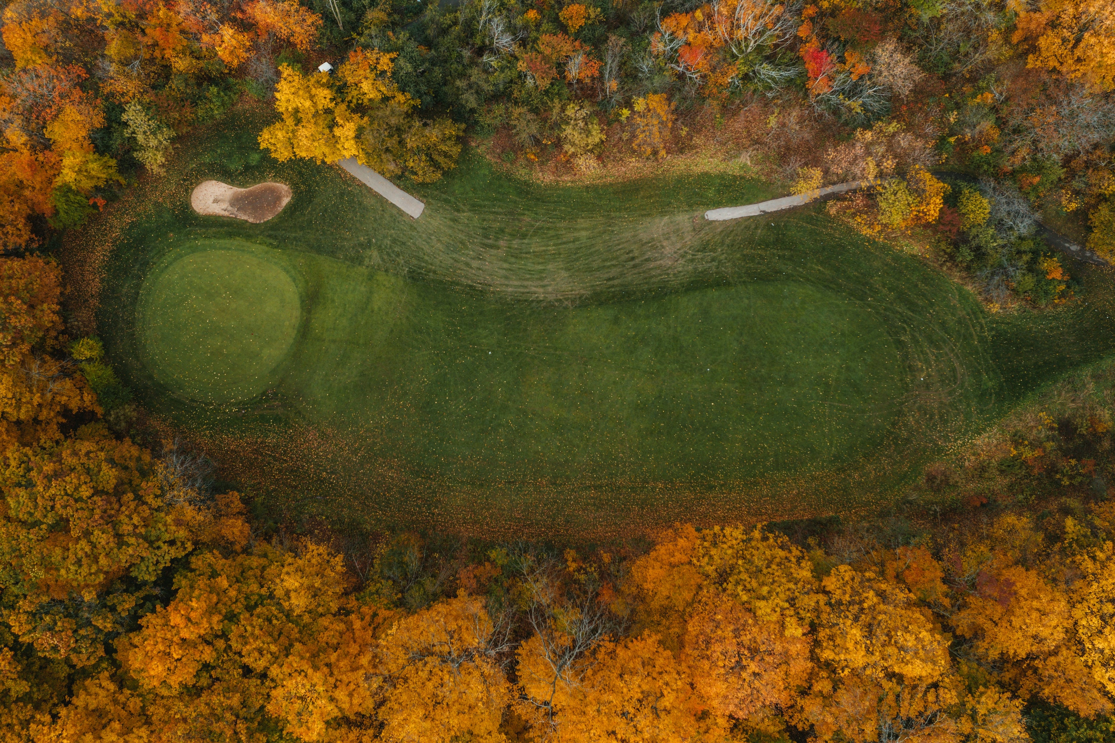 Mastering Putting and Reading Greens: A Scratch Golfer’s Guide to Lower Scores